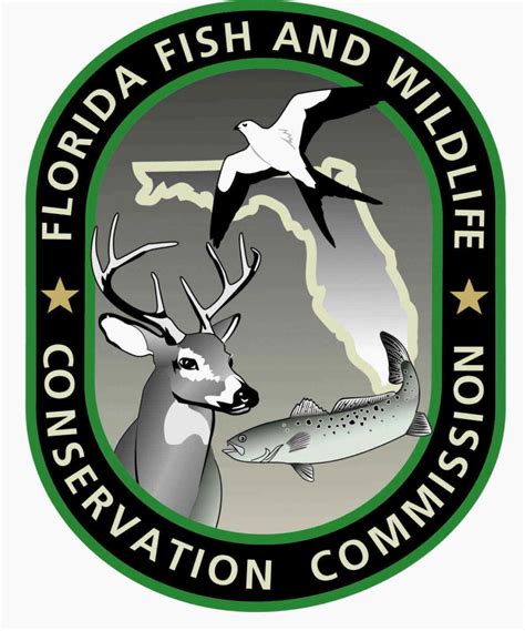 Florida wildlife commission - The Florida Fish and Wildlife Conservation Commission (FWC) employs over 3,000 individuals who are dedicated to managing fish and wildlife resources for their long-term wellbeing and the benefit of people. 